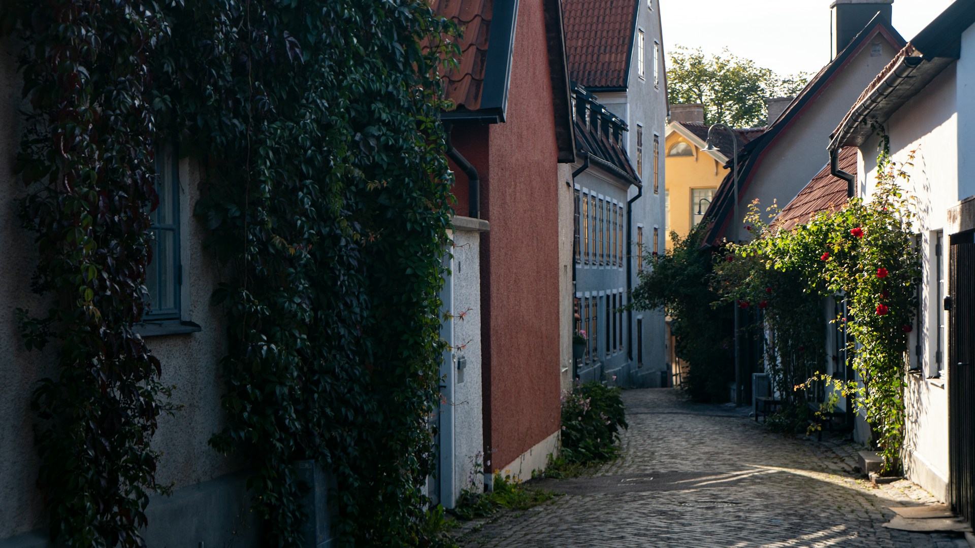oleh-holodyshyn-irOV3h6VJk0-unsplash